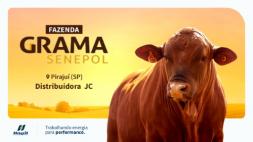 Tecnologia Hágil - Fazenda Senepol da Grama 